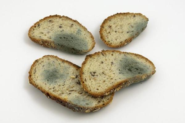 什么是相對濕度和*對濕度(圖3) 1689066360398.jpg